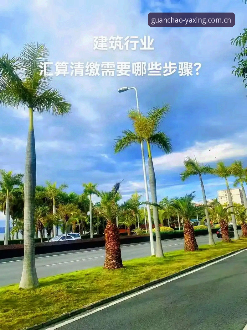 亚星官网观潮互动 3个步骤搞定亚星官网观潮互动:从登录到实时数据的实操攻略